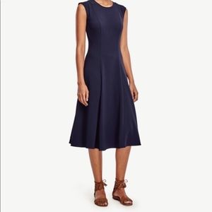 Ann Taylor Midi Dress | Size 4P